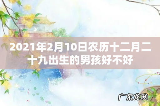 2021年2月10日农历十二月二十九出生的男孩好不好