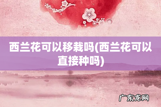 西兰花可以直接种吗 西兰花可以移栽吗