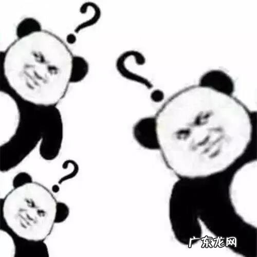 黑狗长白毛是什么原因 黑狗带白毛的风水