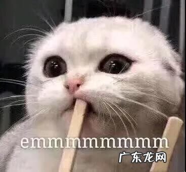 黑狗长白毛是什么原因 黑狗带白毛的风水