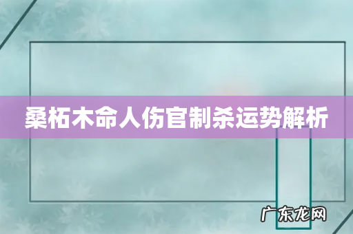 桑柘木命人伤官制杀运势解析