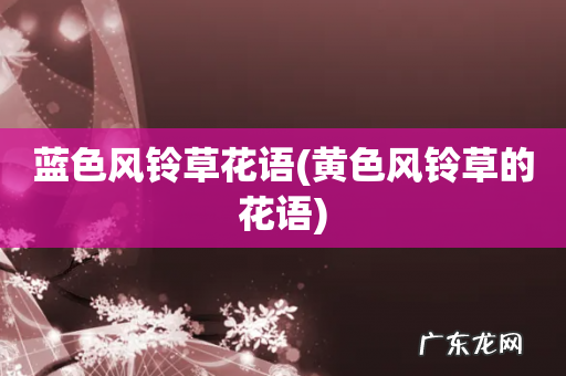 黄色风铃草的花语 蓝色风铃草花语