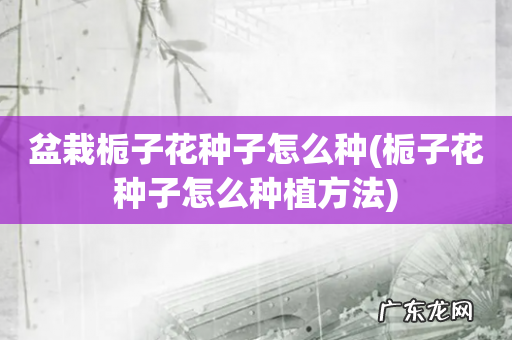 栀子花种子怎么种植方法 盆栽栀子花种子怎么种