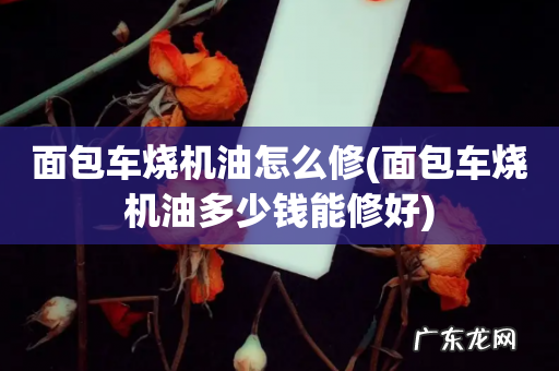 面包车烧机油多少钱能修好 面包车烧机油怎么修