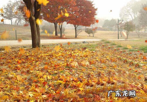 出埃及记钢琴曲简谱 出埃及记钢琴曲完整版