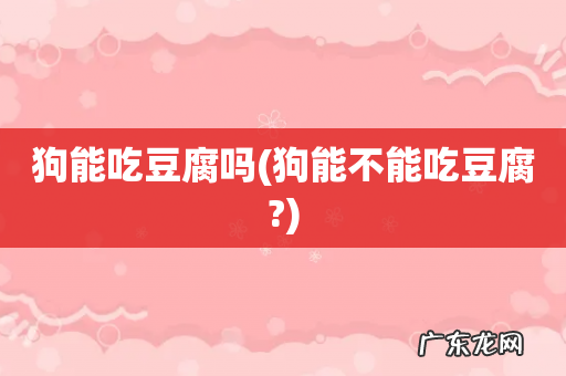 狗能不能吃豆腐? 狗能吃豆腐吗