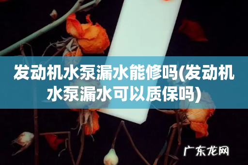 发动机水泵漏水可以质保吗 发动机水泵漏水能修吗