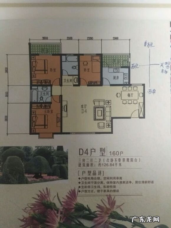 龙头朝上好还是朝下好 风水 东南