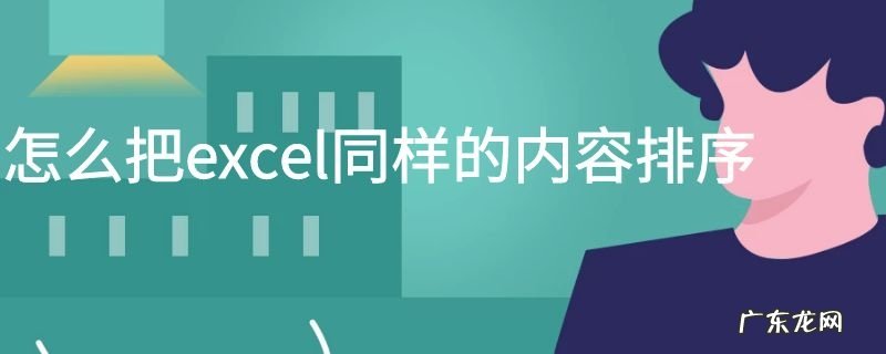 怎么把excel同样的内容排序