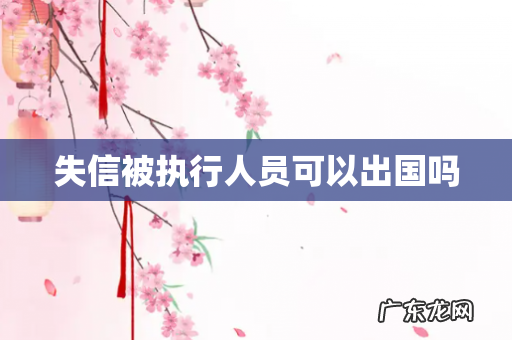 失信被执行人员可以出国吗