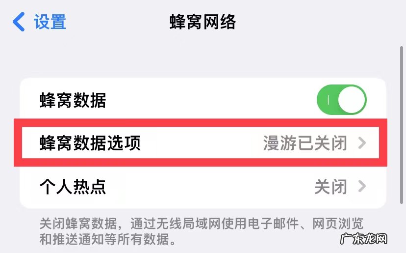 苹果手机打电话没有网络怎么设置