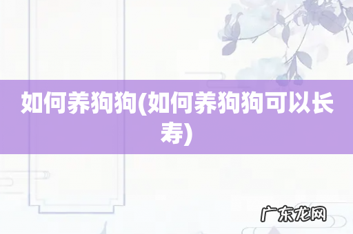 如何养狗狗可以长寿 如何养狗狗