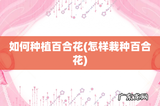 怎样栽种百合花 如何种植百合花