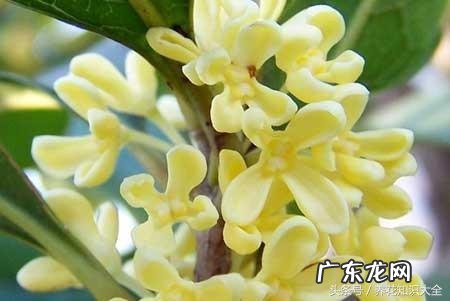 人民的名义吴刚妻子 吴刚 看风水