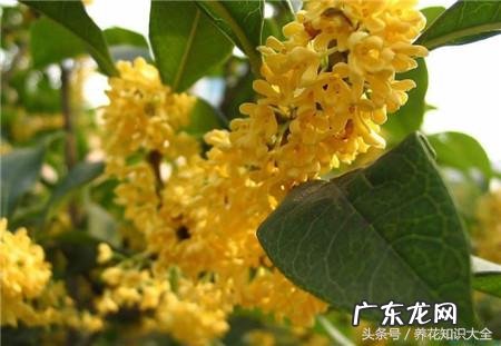 人民的名义吴刚妻子 吴刚 看风水