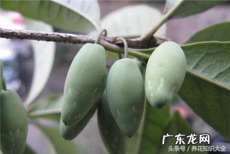 人民的名义吴刚妻子 吴刚 看风水