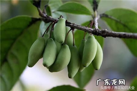 人民的名义吴刚妻子 吴刚 看风水