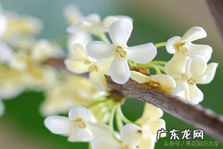 人民的名义吴刚妻子 吴刚 看风水