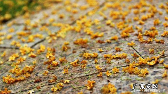 人民的名义吴刚妻子 吴刚 看风水