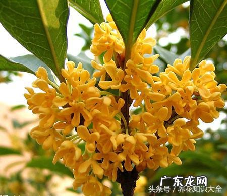 人民的名义吴刚妻子 吴刚 看风水