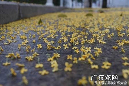 人民的名义吴刚妻子 吴刚 看风水