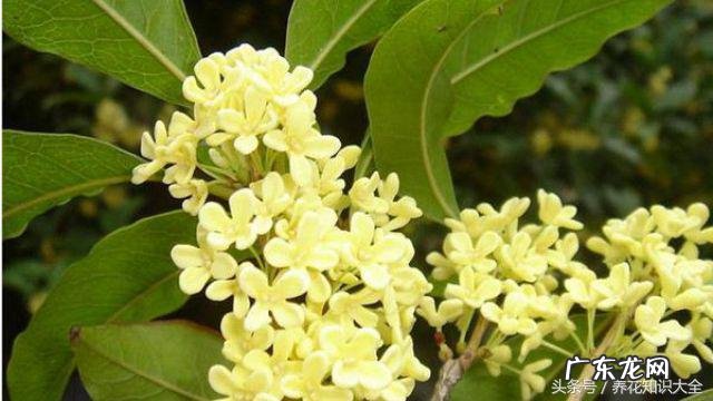 人民的名义吴刚妻子 吴刚 看风水