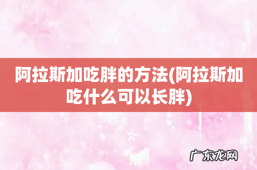 阿拉斯加吃什么可以长胖 阿拉斯加吃胖的方法
