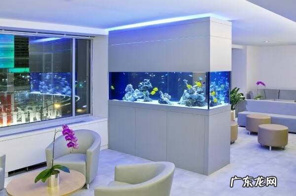 养4条金鱼好不好 养四条金鱼的风水