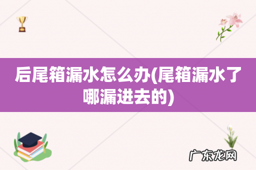 尾箱漏水了哪漏进去的 后尾箱漏水怎么办