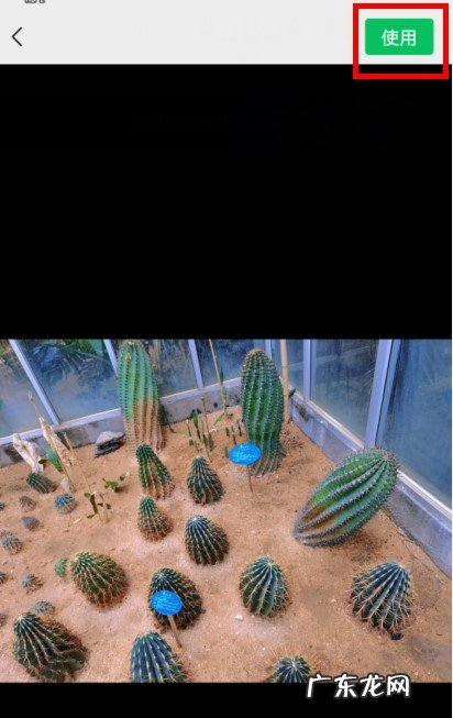 怎么把图片缩小成表情包