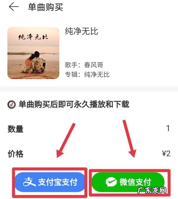 网易云如何购买单曲不买专辑