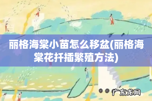 丽格海棠花扦插繁殖方法 丽格海棠小苗怎么移盆