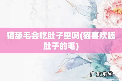 猫喜欢舔肚子的毛 猫舔毛会吃肚子里吗
