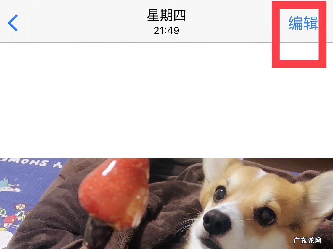 苹果手机照片光感怎么调