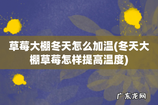 冬天大棚草莓怎样提高温度 草莓大棚冬天怎么加温