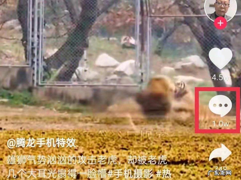 抖音怎么发live动态图片?