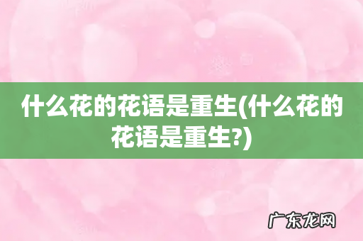 什么花的花语是重生? 什么花的花语是重生