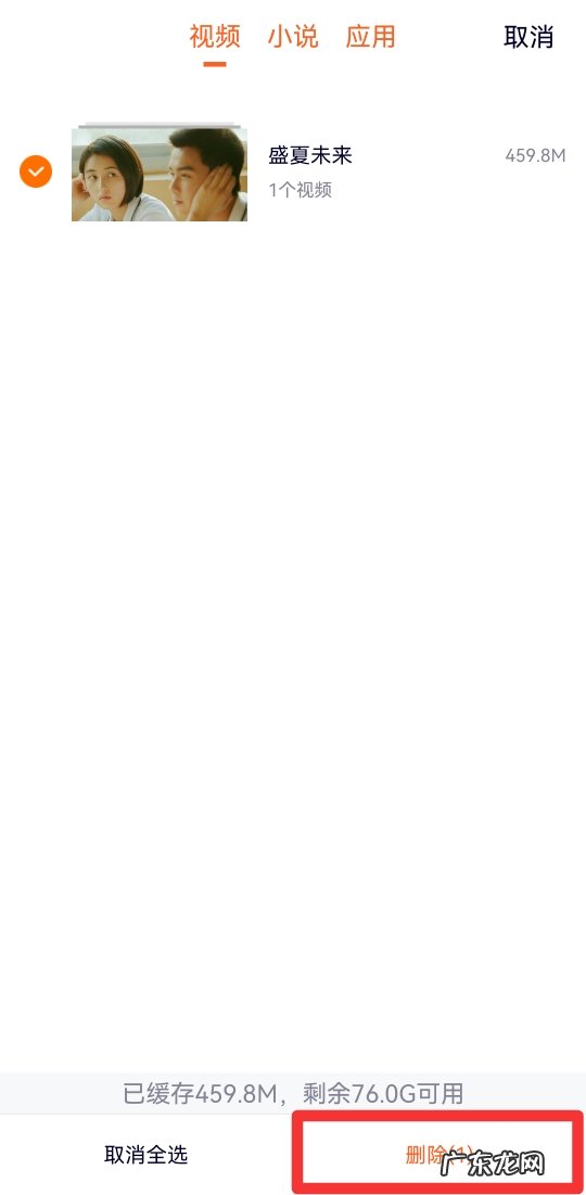 常用视频网站下载怎么删除