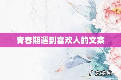 青春期遇到喜欢人的文案