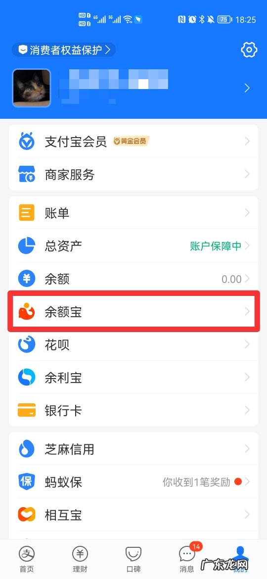 支付宝体验金在哪里找