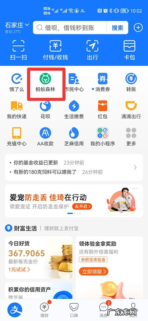 怎么点击能多获得能量雨