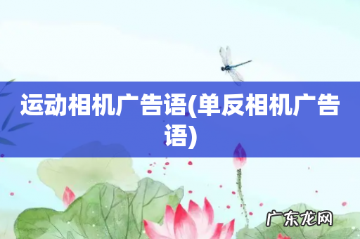 单反相机广告语 运动相机广告语