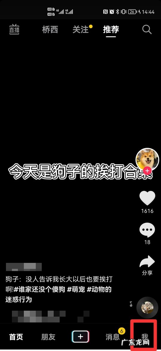 抖音头像上的太阳挂件是什么意思