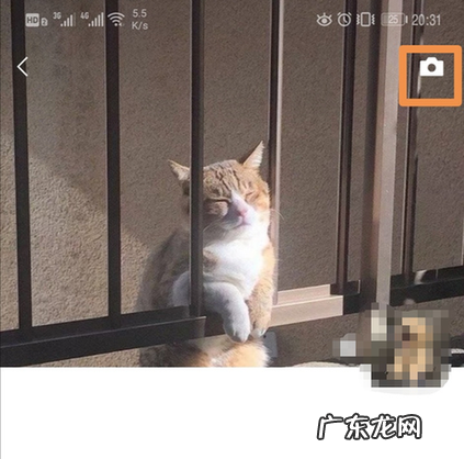 朋友圈全文显示怎么弄