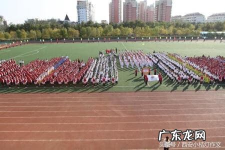 运动会作文摘抄 关于运动会的作文