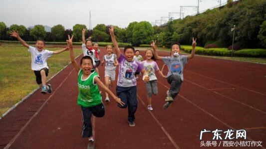 运动会作文摘抄 关于运动会的作文