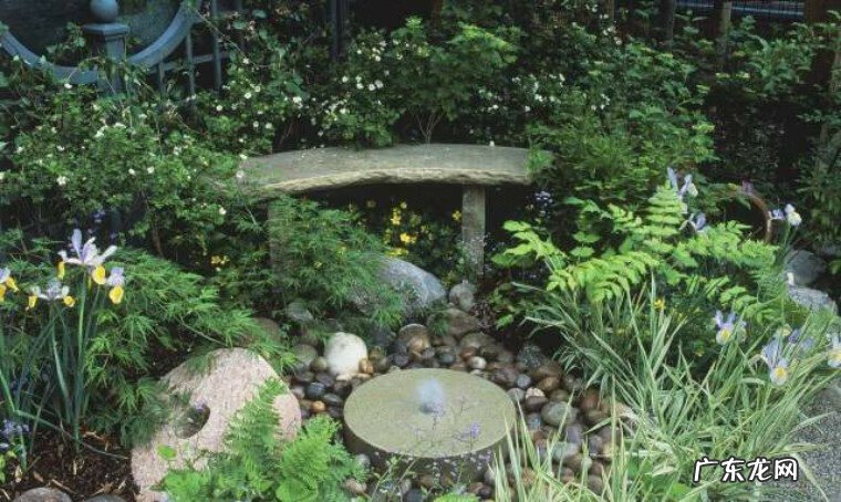 别墅院子风水知识大全 房屋和院子里的风水怎么看