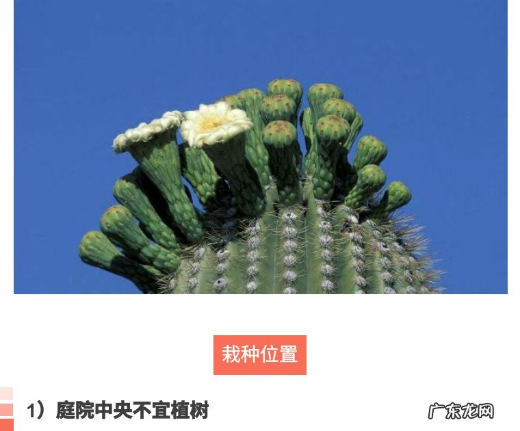 别墅院子风水知识大全 房屋和院子里的风水怎么看