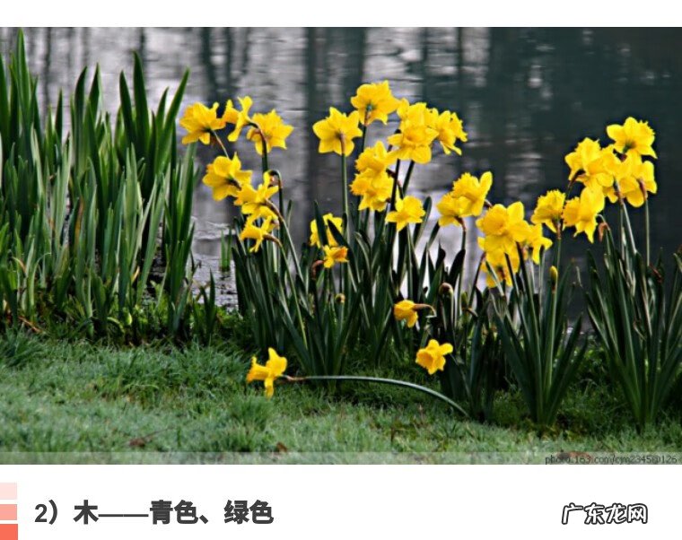 别墅院子风水知识大全 房屋和院子里的风水怎么看