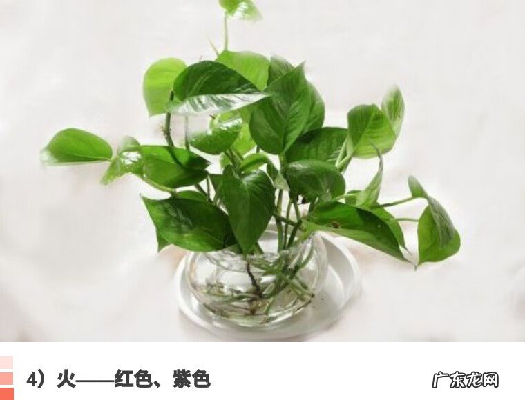 别墅院子风水知识大全 房屋和院子里的风水怎么看